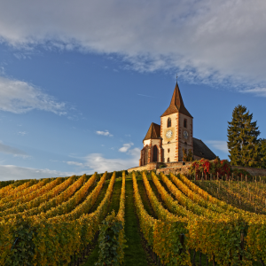 22.9. Trimbach - 400 years of alsatian winemaking - Special dinner